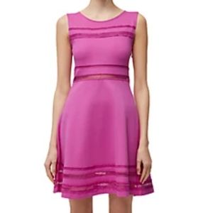 French Connection Fuchsia Mini Dress